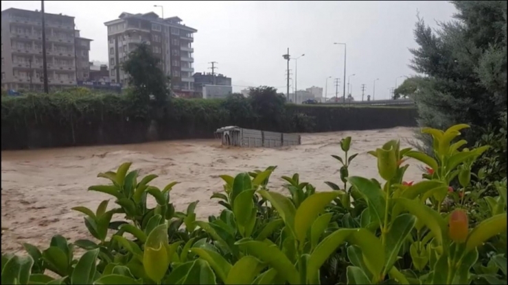 Borçka’daki Selin Sürüklediği Kamyon Kasası Hopa’ya Dere Suları İle İşte Böyle Ulaştı