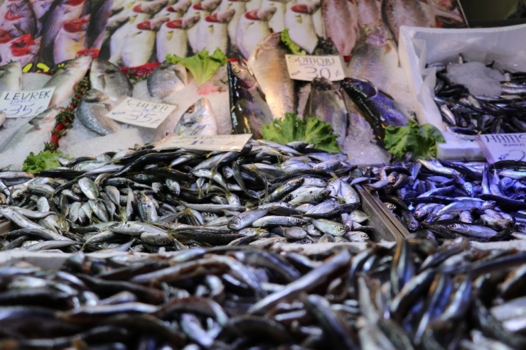 Balık Fiyatları, Beyaz Eti Solladı