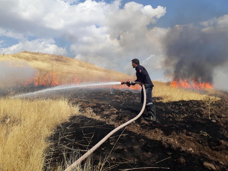 Yangın Ağaçlara Zarar Verdi