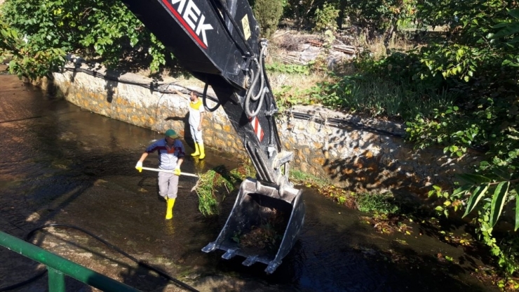 Dalakdere Ekiplerce Temizlendi