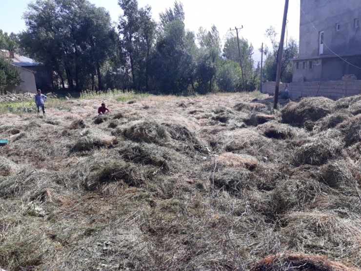 Yüksekova’da Yangın; Bin 500 Bağ Ot Yandı