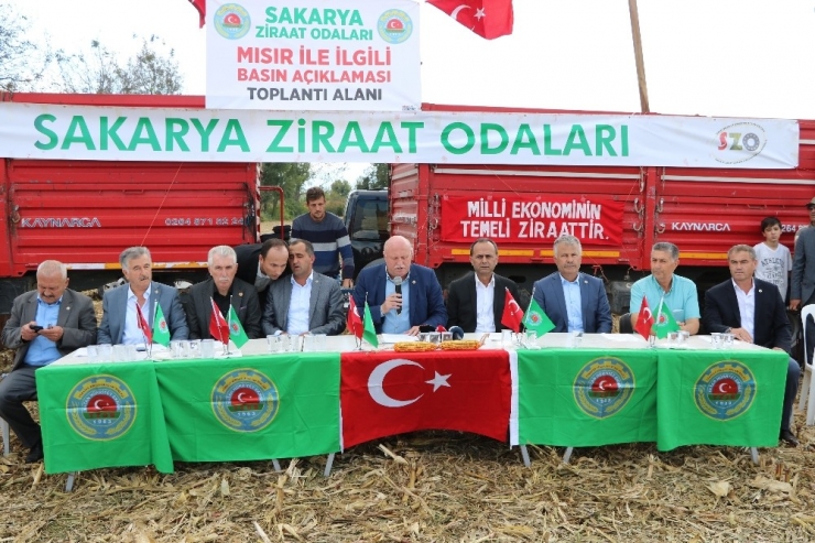 Sakarya Ziraat Odaları Başkanı Bayraktar: "Fiyatların Düşük Olması Üreticimizi Mısır Üretiminden Uzaklaştıracaktır"
