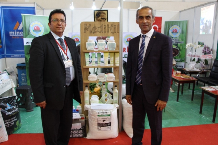 Fındıkta Aflatoksin Ve Küllemeye Doğal Çözüm: "Bentonit"