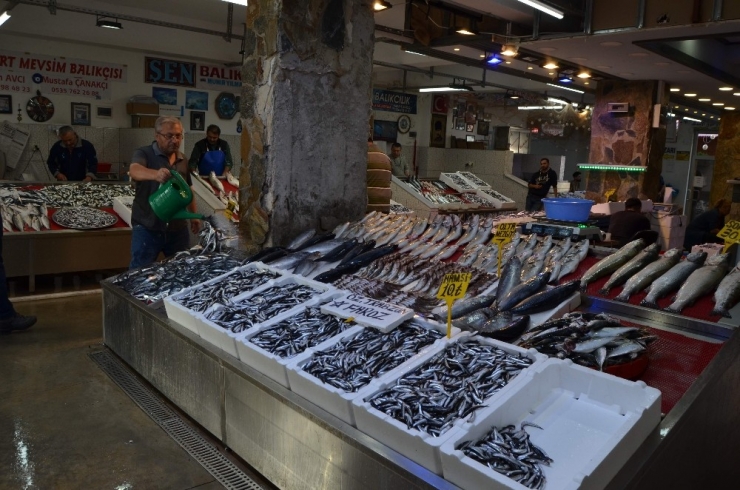 Balık Bollaştı, Tezgâhlar Şenlendi