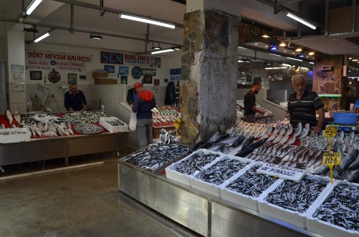 Balık Bollaştı, Tezgâhlar Şenlendi