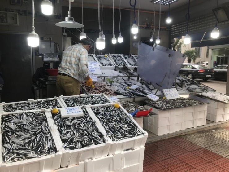 Balık Tezgahları Şenlendi