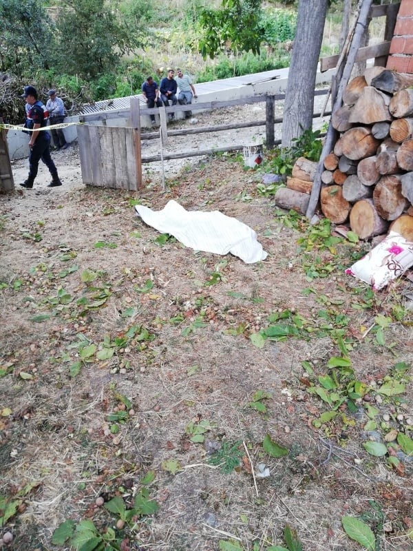 Tosya’da Cevizden Düşen Kişi Öldü