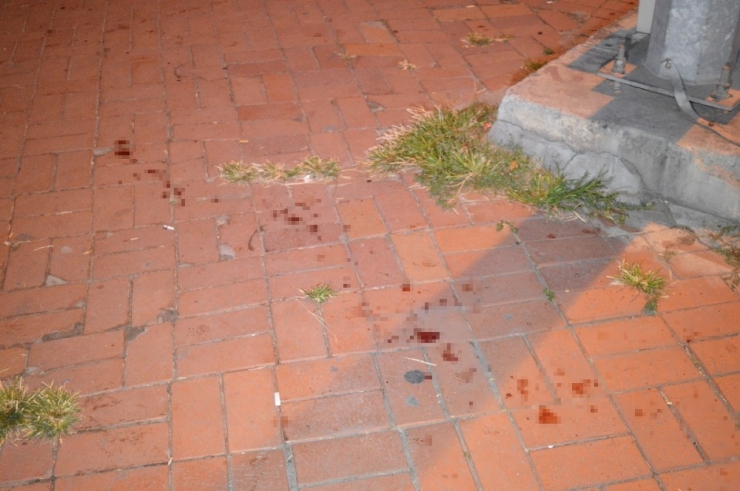 Fatih Sahilinde Bıçaklanan Şahıs Hayatını Kaybetti