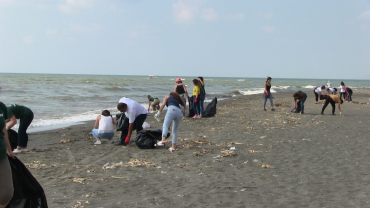 Greenpeace’ten Temizlik Ve Marka Denetimi