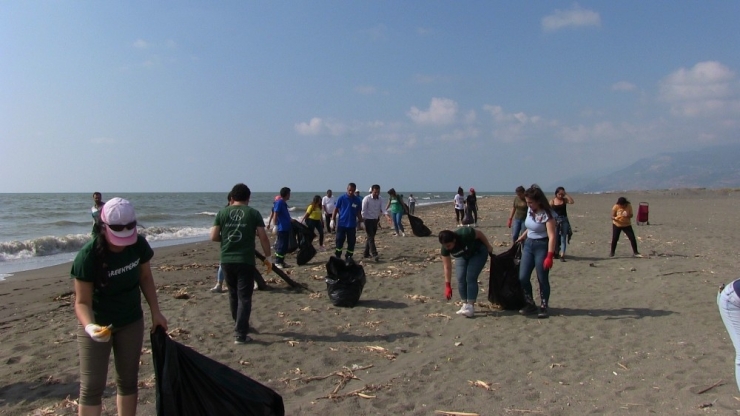 Greenpeace’ten Temizlik Ve Marka Denetimi