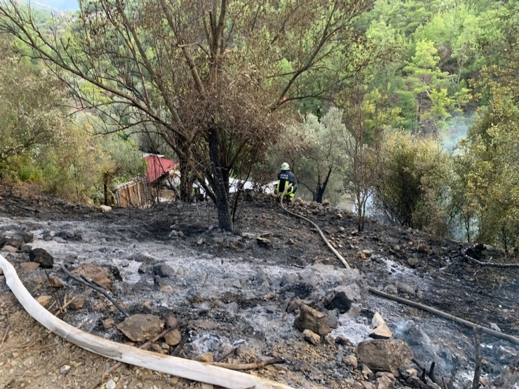 Muğla’da Korkunç Yangın