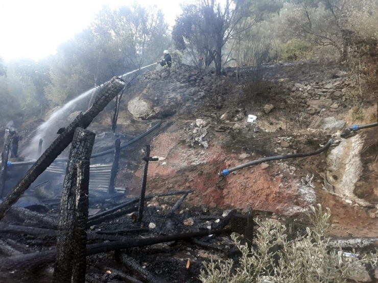 Muğla’da Korkunç Yangın