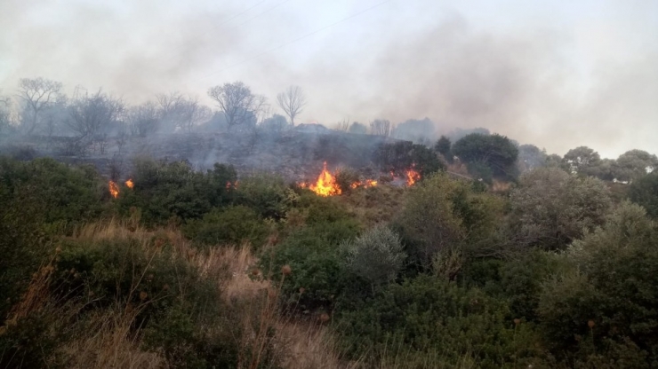 Datça’da Zirai Alanda Üç Farklı Noktada Yangın Çıktı