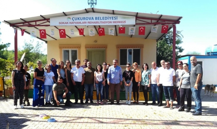 Sokak Hayvanları İçin Seferberlik