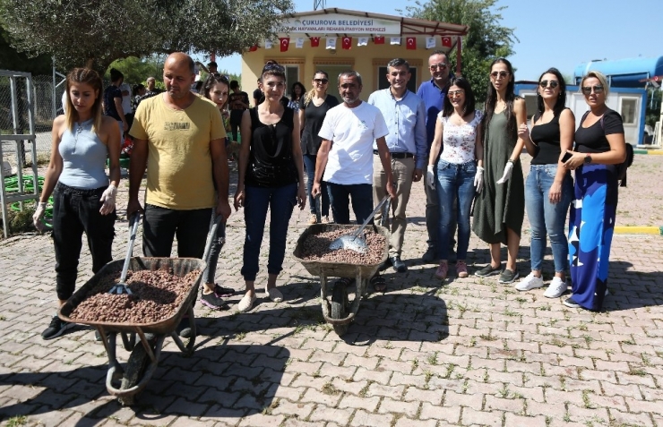 Sokak Hayvanları İçin Seferberlik