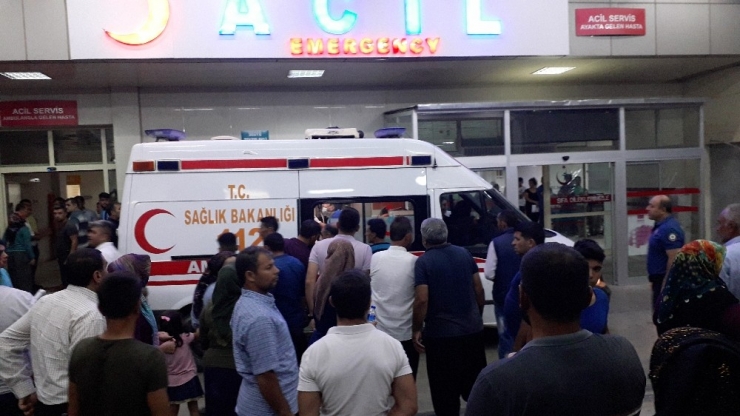 Kestiği Ağaç Üzerine Devrildi