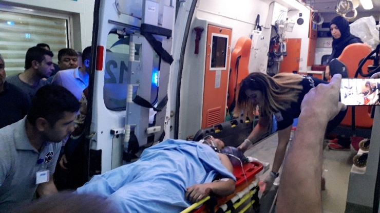 Kestiği Ağaç Üzerine Devrildi