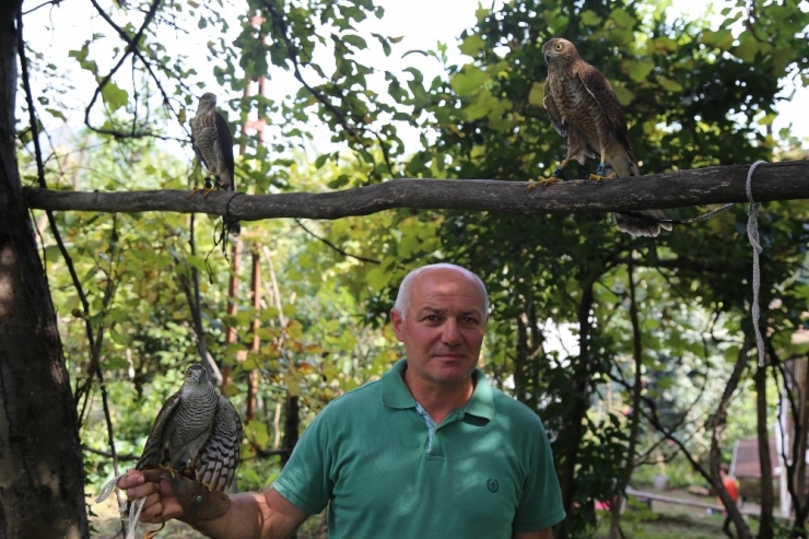 Artvin’de Atmaca Avcılığı Babadan Oğula Yaşatılıyor