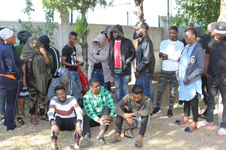 Ayvalık’ta 30 Kaçak Göçmen Yakalandı