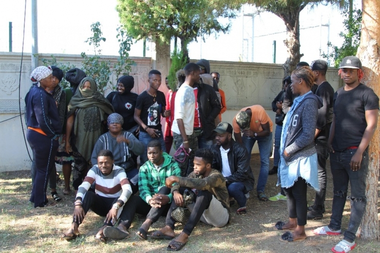 Ayvalık’ta 30 Kaçak Göçmen Yakalandı