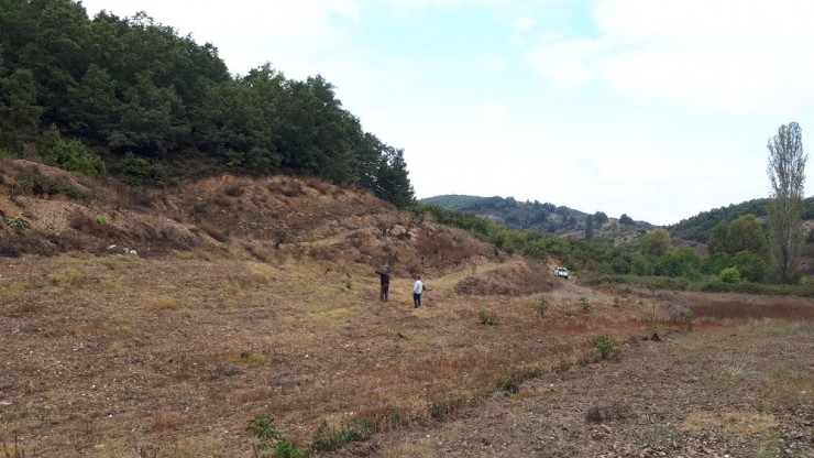 Binlerce Fidanın Takibi Yapılıyor