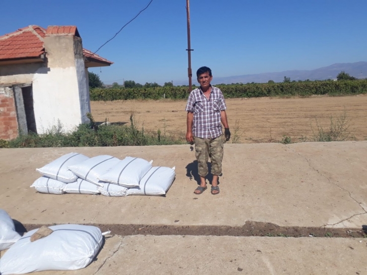 Bir Yılın Emeğini Bir Gecede Çaldılar