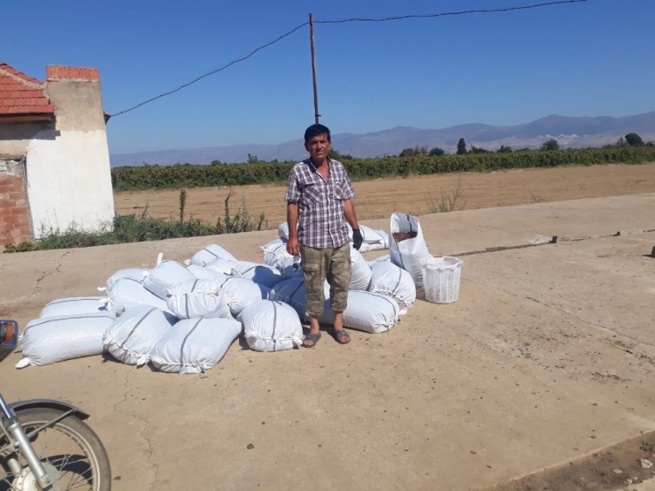 Bir Yılın Emeğini Bir Gecede Çaldılar