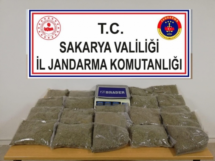 Sakarya’da Tabuttan Ceset Değil, Bonzai Çıktı
