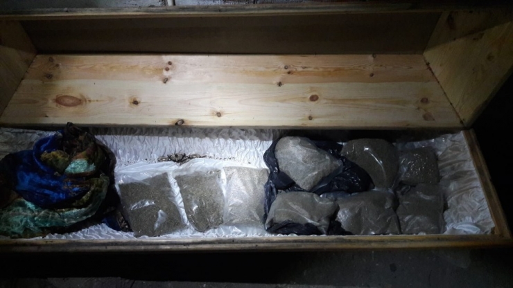 Sakarya’da Tabuttan Ceset Değil, Bonzai Çıktı