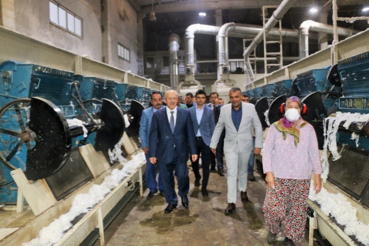 Ticaret Bakan Yardımcısı Uçarmak: "Beyaz Altın Değerini Bulmalı "