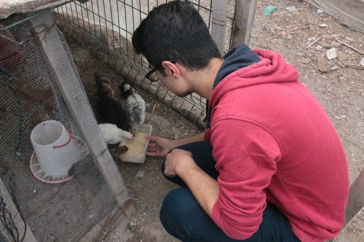 Bu Okulda Sadece Ders Değil Hayvan Sevgisi De Öğretiliyor
