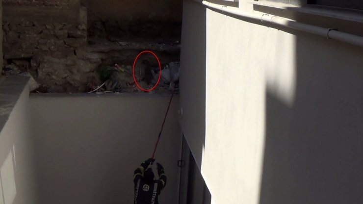 İtfaiye Erleri Kediyi Kurtarmak İçin Uzun Süre Uğraştı