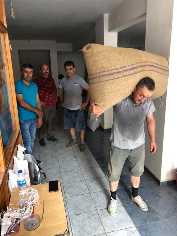 Fındık Fiyatı İstikrarı Yakaladı