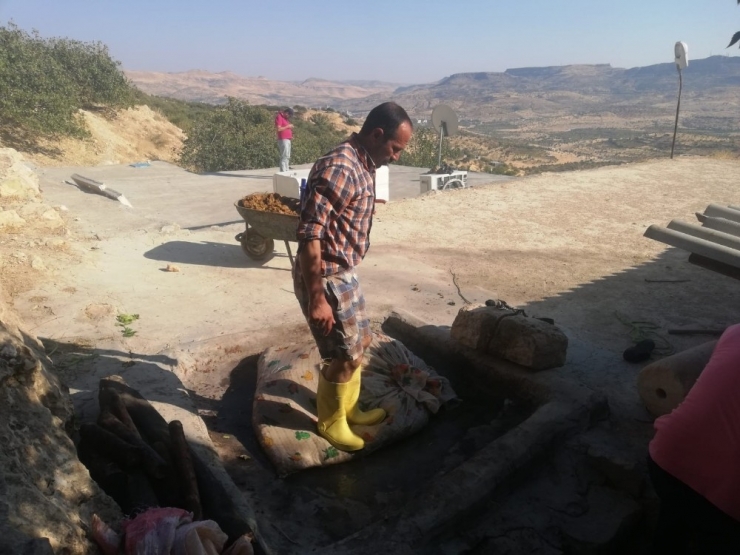 Mardin Üzümünün Pekmez Ve Pestil Yolculuğu Başladı