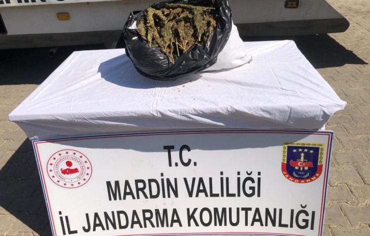 Midyat’ta 6 Kilogram Uyuşturucu Madde Ele Geçirildi