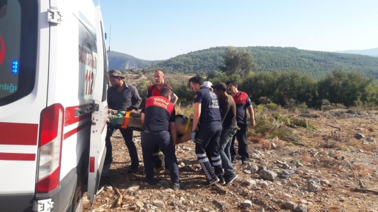 Devrilen Traktörün Altında Kaldı