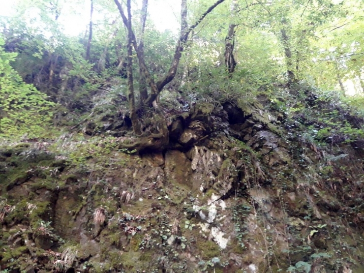 Kestane Toplamaya Giderken Uçurumdan Düştüler: 1 Ölü, 1 Yaralı, 1 Kayıp