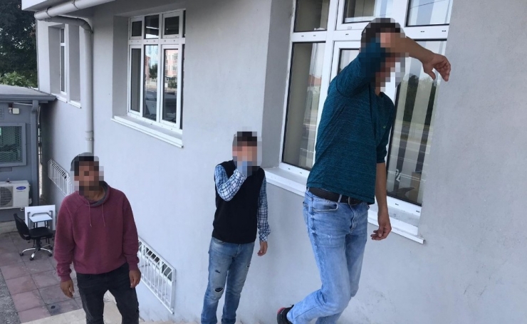 Fındık Hırsızlığı Zanlılarına Adli Kontrol