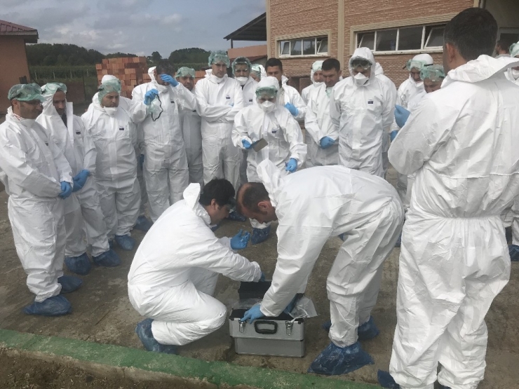 Veteriner Hekimlere Şarbon Hastalığı Salgın Yönetimi Ve Saha Tatbikatı