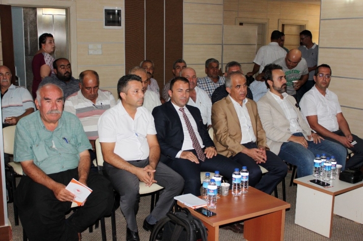 Uluslararası Turunçgil Kongresi Hazırlıkları