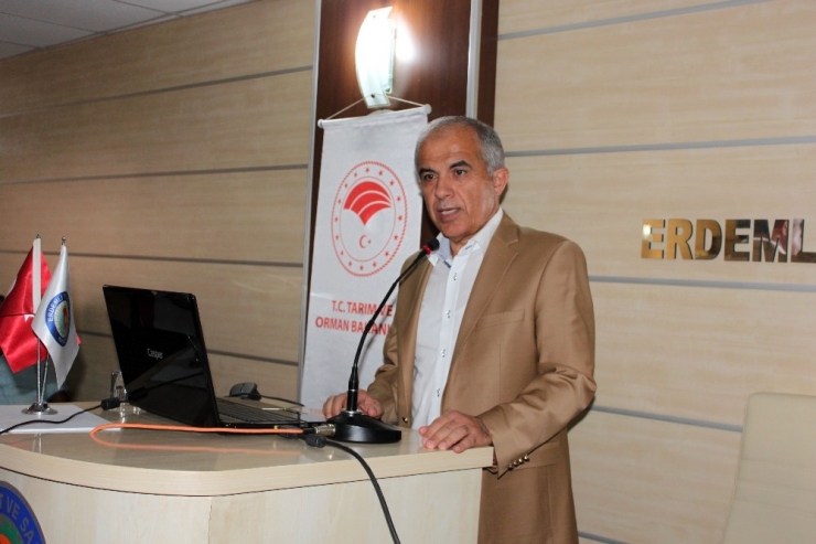 Uluslararası Turunçgil Kongresi Hazırlıkları