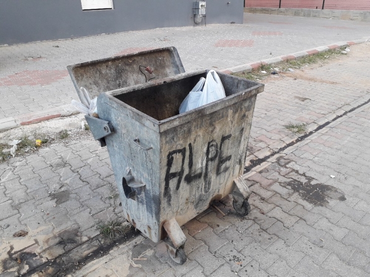 Çöpe Atılan Bebek Köpekler Parçalamadan Kurtarıldı