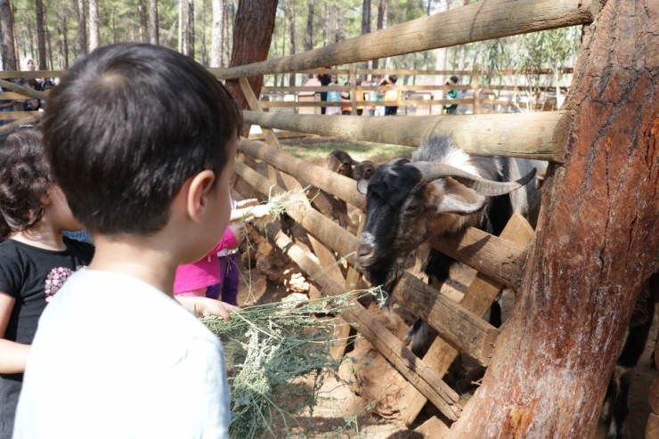 Down Sendromlu Çocuklara Atlı Terapi
