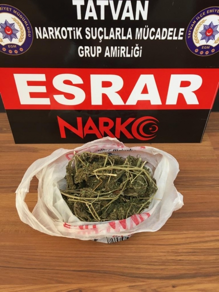 Bitlis’te Eroin Ve Esrar Operasyonu