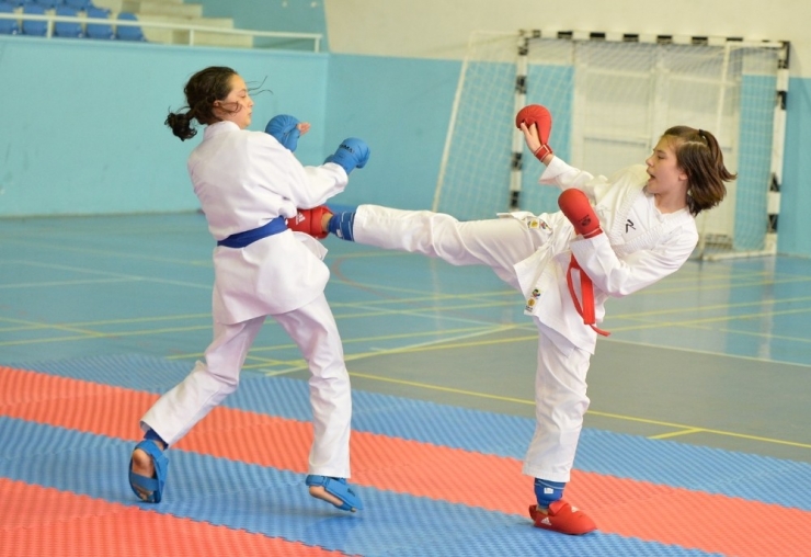 Tatamide Başarı Sürüyor