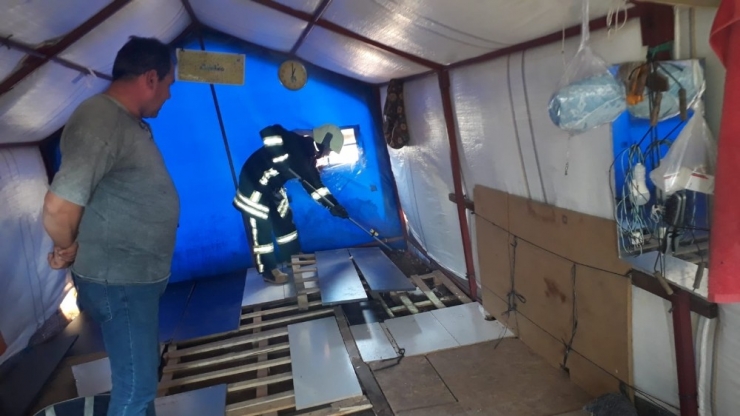 Çobanların Kaldığı Çadırda Yılan Paniği