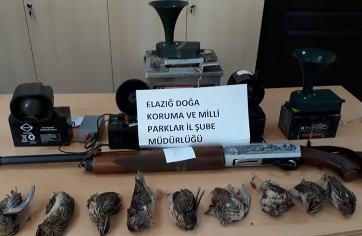 Usulsüz Avlanan 2’si Yabancı Uyruklu 8 Şahıs Yakalandı