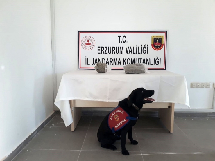 Yolcunun Sırt Çantasında 1 Kilo Bonzai Ele Geçirildi