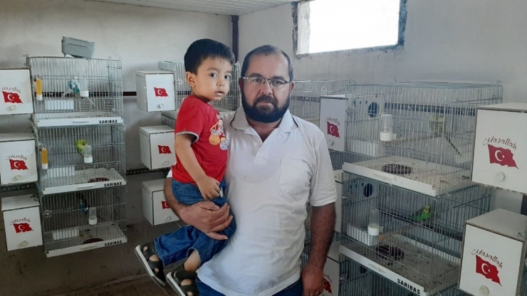 Serçeyi Telle Boğazından Bağlayıp Astılar