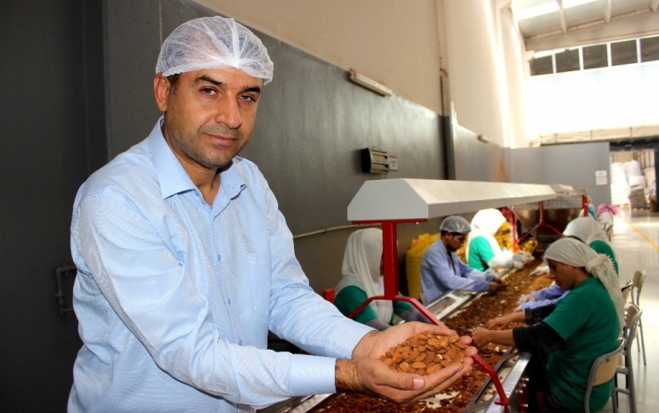 Adıyaman Bademi Zincir Marketlerin Raflarında